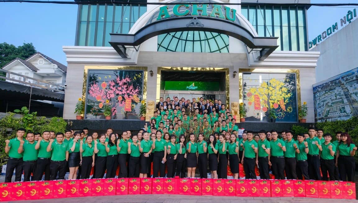 lĩnh vực hoạt động